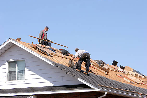 Best Hot Roofs  in Wilder, KY